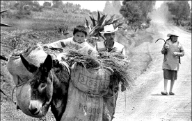 familia-regresan-campo-tlax