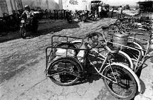 vc-xochimilco-jpg