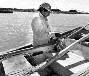 pescado