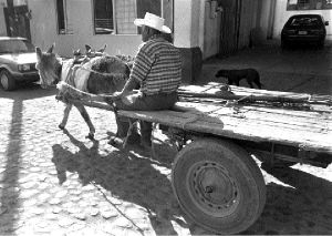 transporte-tezayuca-jpg