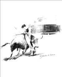 dibujo toros