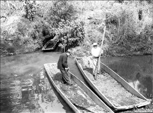 xochimilco-7