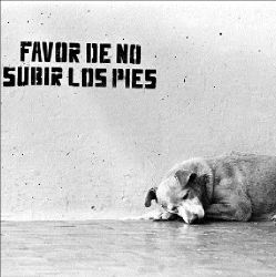 vc-perro-duerme