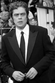 Beniciodeltoro