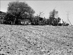 campo_mvt