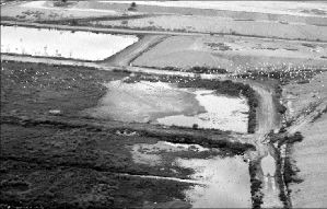 texcoco_lago_mi03lt