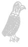 pajaro-3