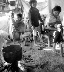 yer98-mexico-chiapas ref-58