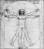 vinci