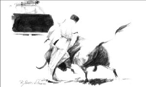 dibujo toros-Mejia