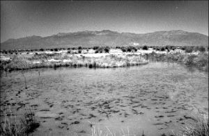 cienega-coahuila3