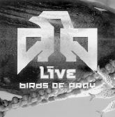 LIVI BIRDS OF PRAY