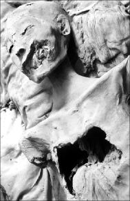 Nefertiti1