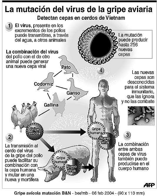 MUTACION DEL VIRUSÉ EPS