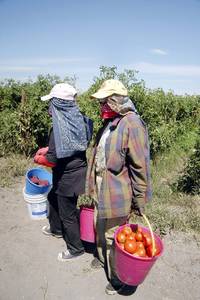 DIA DE LAS MADRES EN SINALOA