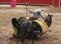 Picador sancionado por castigar de más al toro en la octava novillada