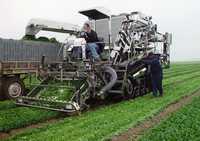 Un técnico opera una segadora robotizada en un campo de lechuga del Valle Imperial, California. Estas máquinas tienen varias capacidades para recoger cultivos, desde quitar el corazón de las lechugas hasta cosechar uvas, de manera que hacen el trabajo de varios hombres. Este es el tipo de agricultura tecnificada con la que deben competir los productores mexicanos