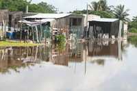 Vista de la ciénaga de Puerto Progreso, ubicada a unos 80 kilómetros de la franja costera de Yucatán. Los habitantes señalan que la falta de agua potable y drenaje, entre otros servicios, favorece la proliferación de enfermedades infecciosas