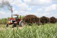 La Sagarpa anunció este jueves que este año se ejercerá 60 mil millones de pesos en apoyo a productores de alimentos
