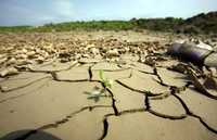 El campo en Carpineni, Moldavia, es un triste reflejo de la crisis que se enfrenta en muchos países del mundo, debido a la modificación del clima