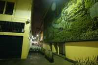 En la antigua calle de Alcaizería, hoy llamada Primera Cerrada de Cinco de Mayo, se creó el primer jardín vertical en el país