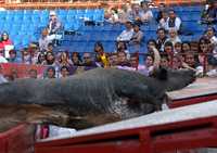 Durante la tercera novillada de la México, Justiciero estuvo cerca de llegar al primer tendido de la plaza