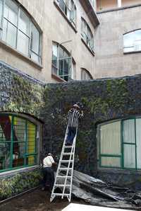 El jardín fue sembrado en el segundo piso del edificio del GDF, mismo que estará terminado esta semana