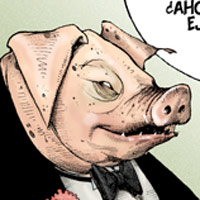 Mostrar el cartón
