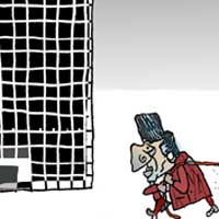 Mostrar el cartón