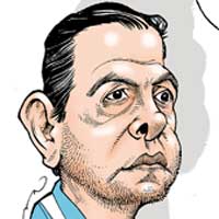 Mostrar el cartón