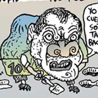 Mostrar el cartón