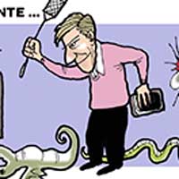 Mostrar el cartón