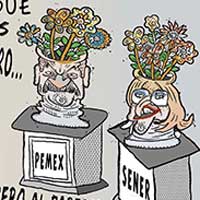 Mostrar el cartón