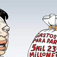 Mostrar el cartón