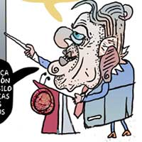 Mostrar el cartón