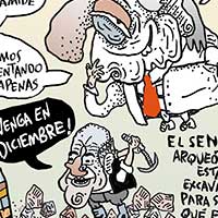 Mostrar el cartón