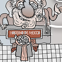 Mostrar el cartón