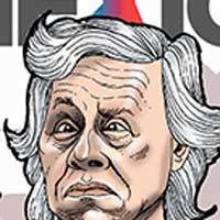 Mostrar el cartón