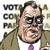 Mostrar el cartón