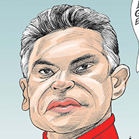 Mostrar el cartón