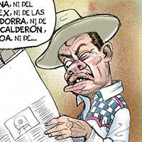 Mostrar el cartón