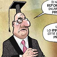 Mostrar el cartón