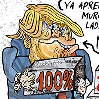 Mostrar el cartón