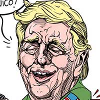 Mostrar el cartón