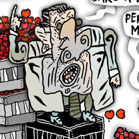 Mostrar el cartón