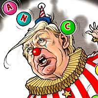 Mostrar el cartón