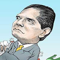Mostrar el cartón
