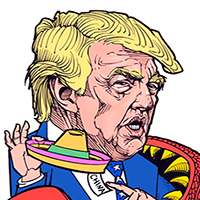 Mostrar el cartón