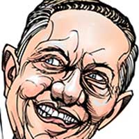 Mostrar el cartón