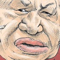 Mostrar el cartón